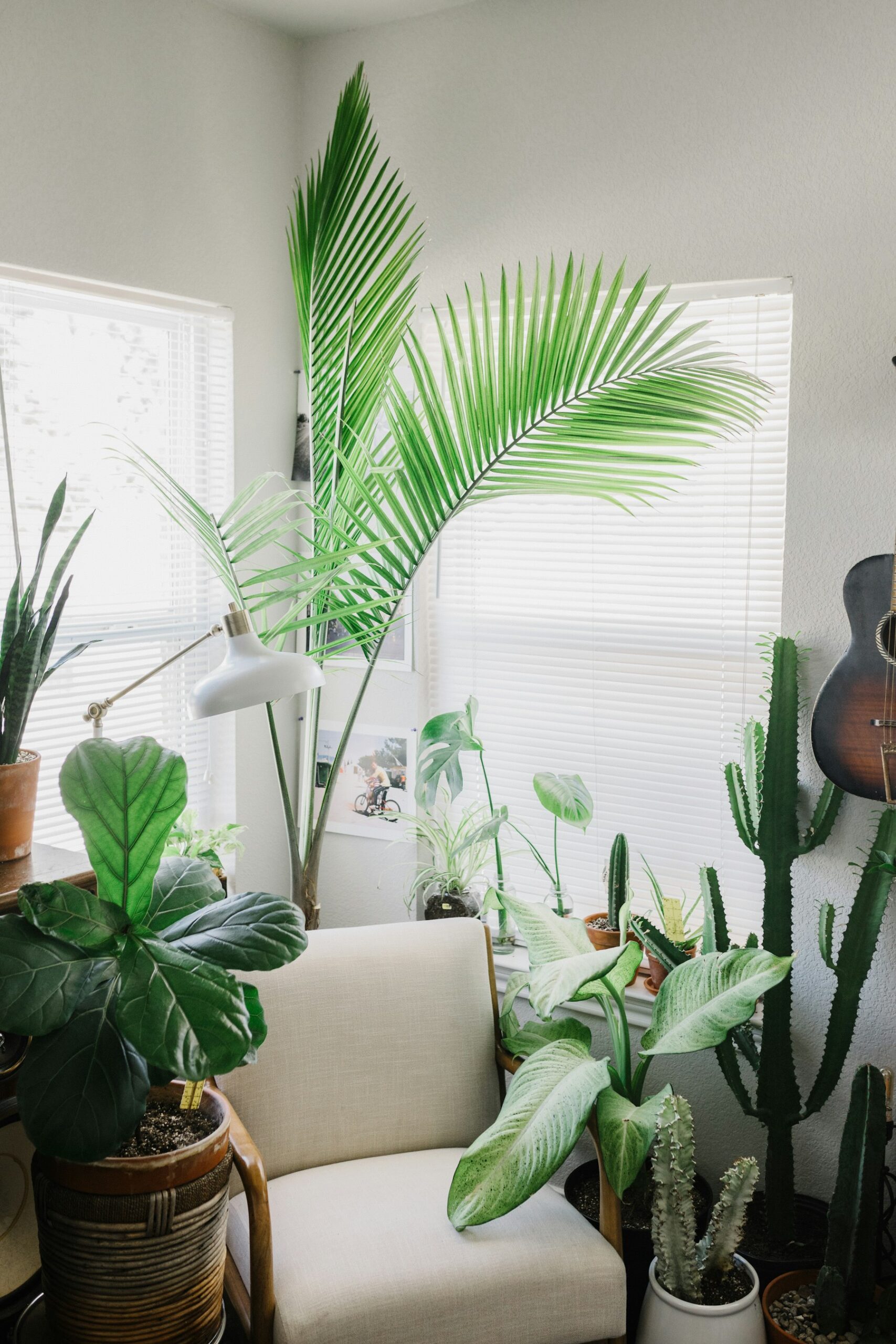 counseling space